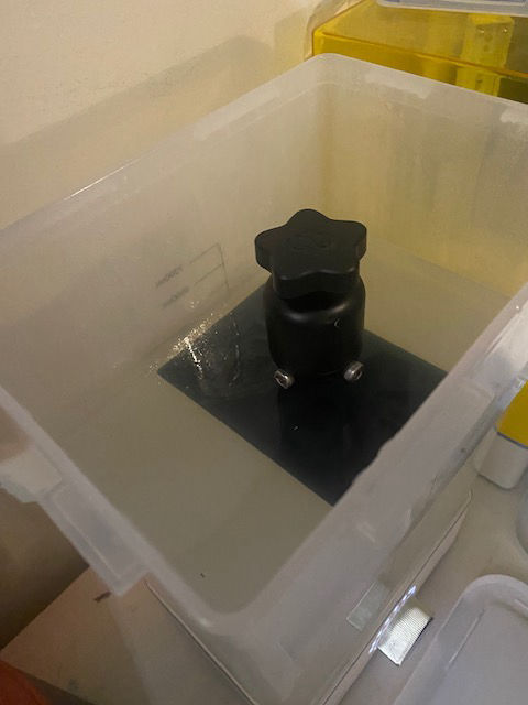 I washed the part (still attached to the build plate)