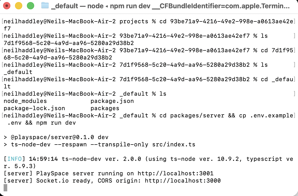 I ran the server — it started on localhost:3001 with Socket.io ready