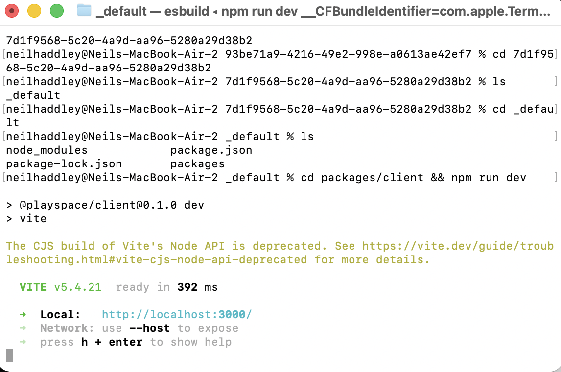 I ran the client — Vite served it on localhost:3000
