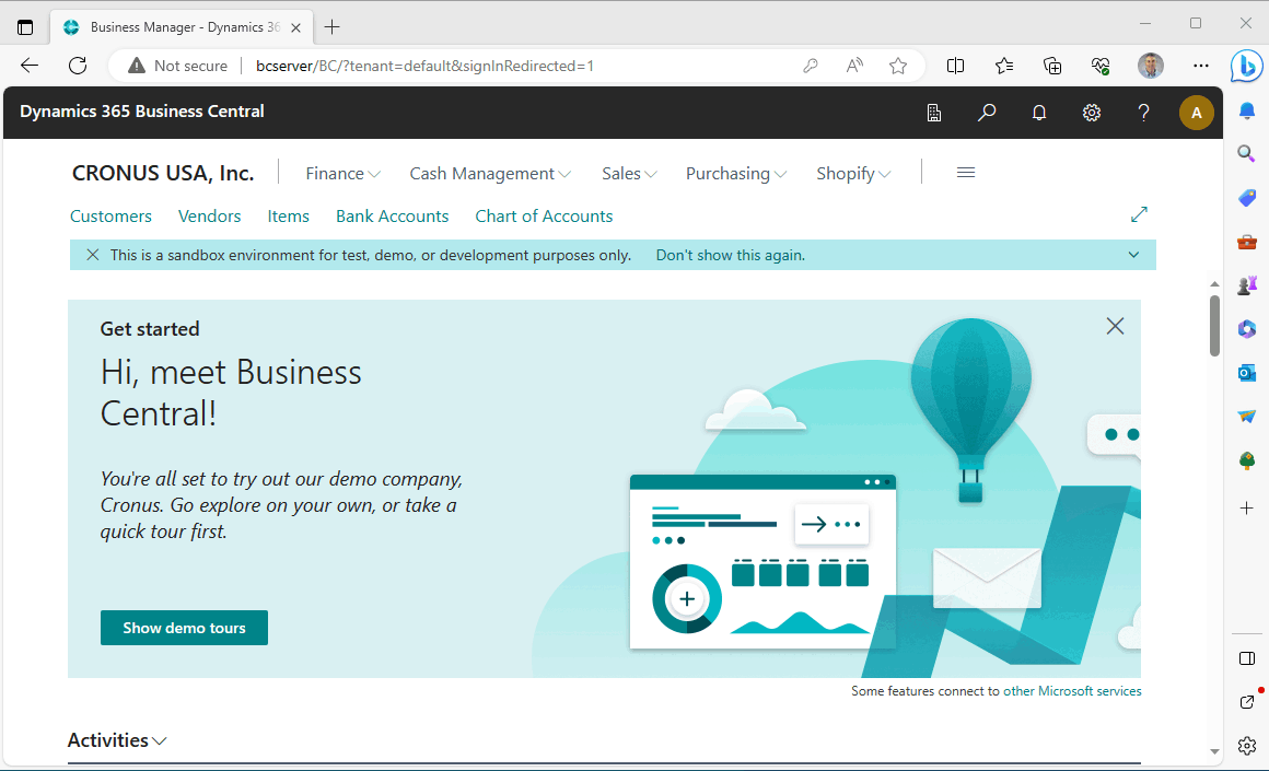 Business Central running in the local Docker container