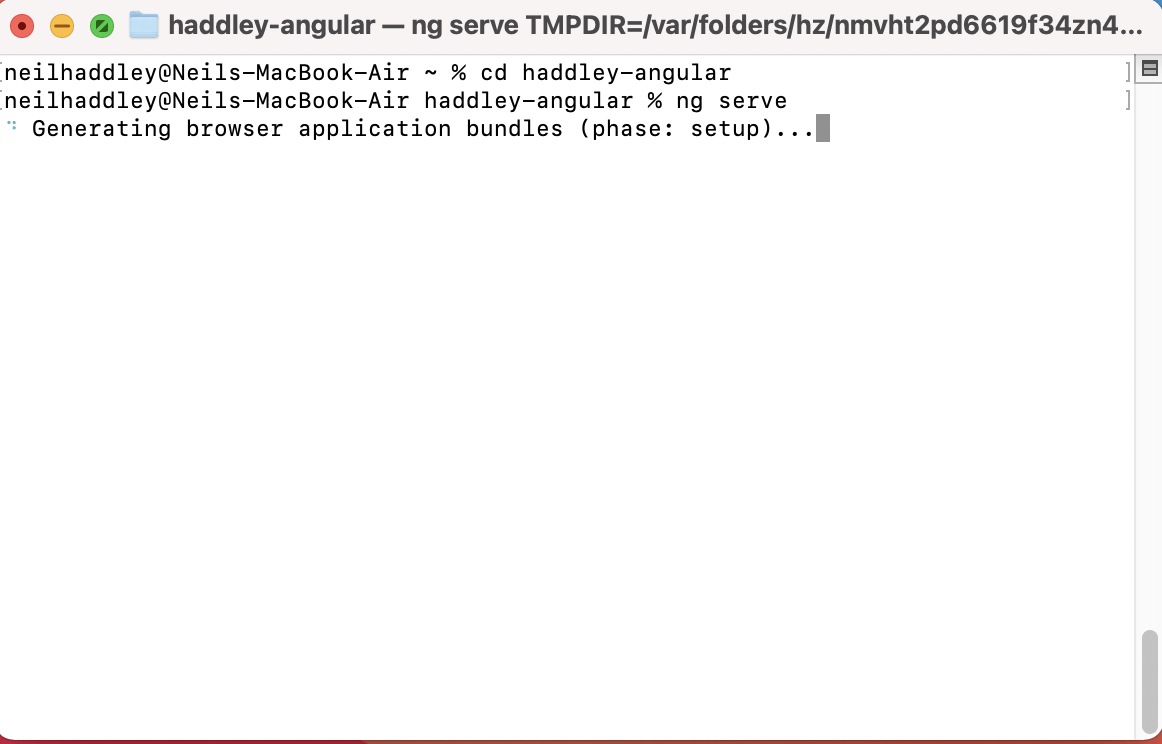 I changed to the new project folder and ran "ng serve"
