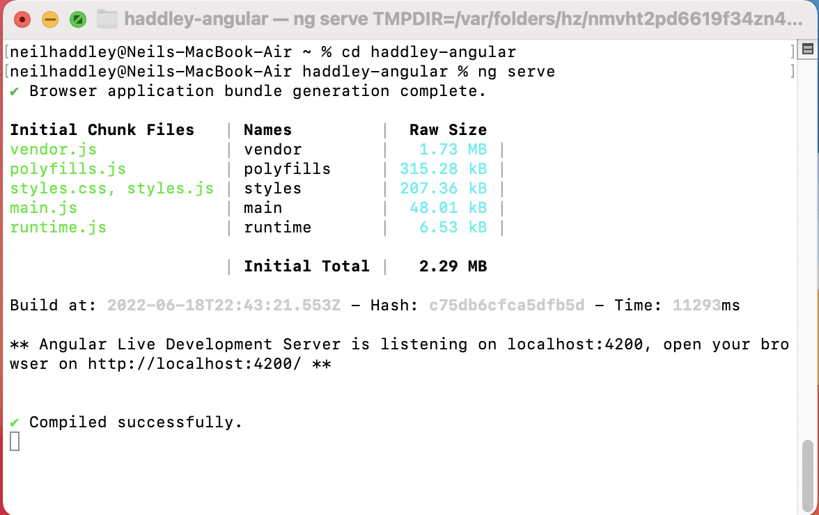 The app is running on localhost:4200
