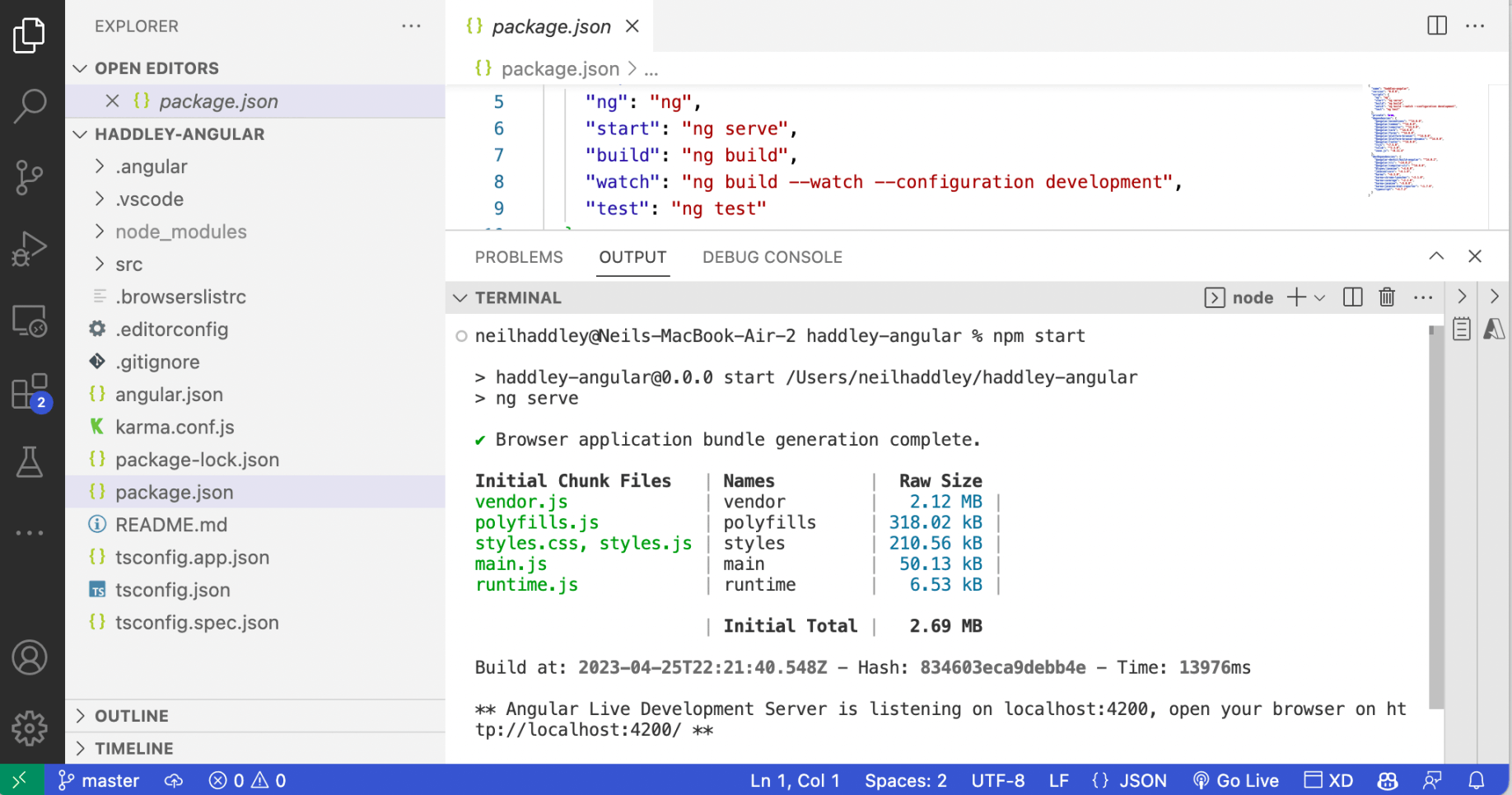 npm start