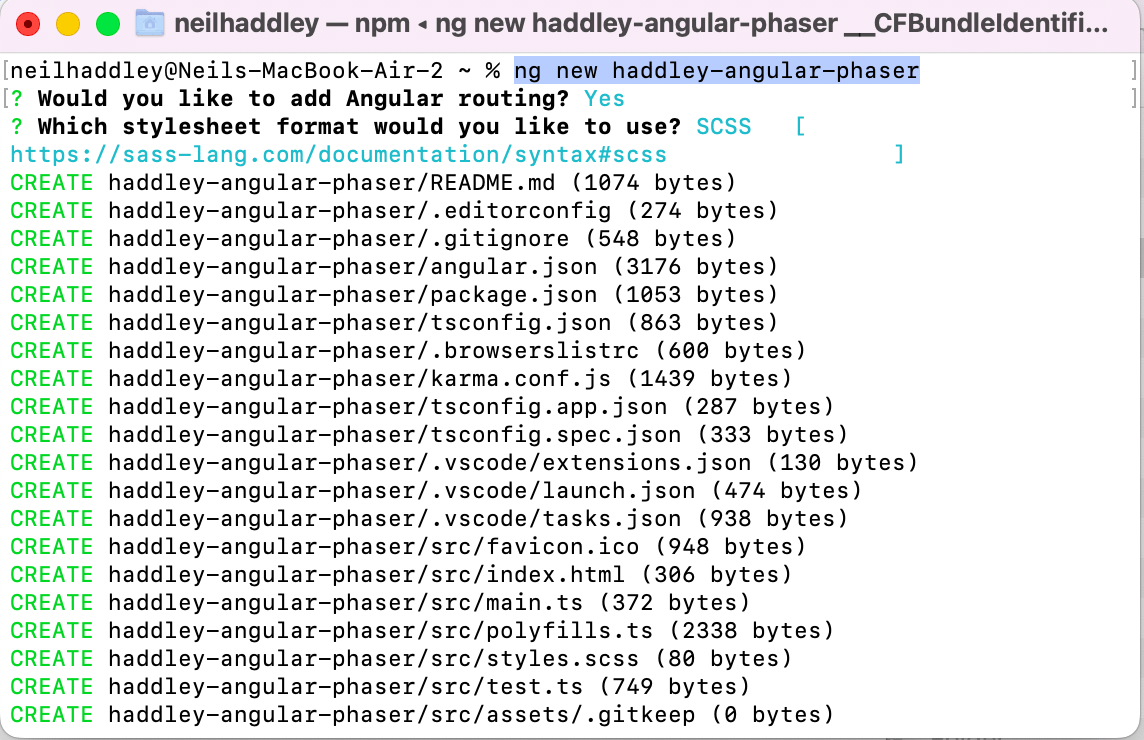 ng new haddley-angular-phaser
