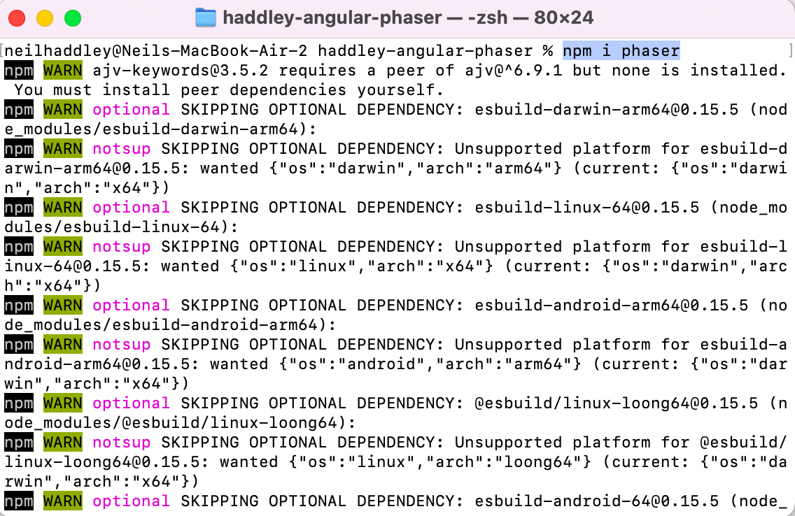 npm i phaser