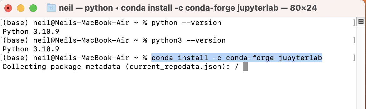 I installed support for jupyter lab into the base environment