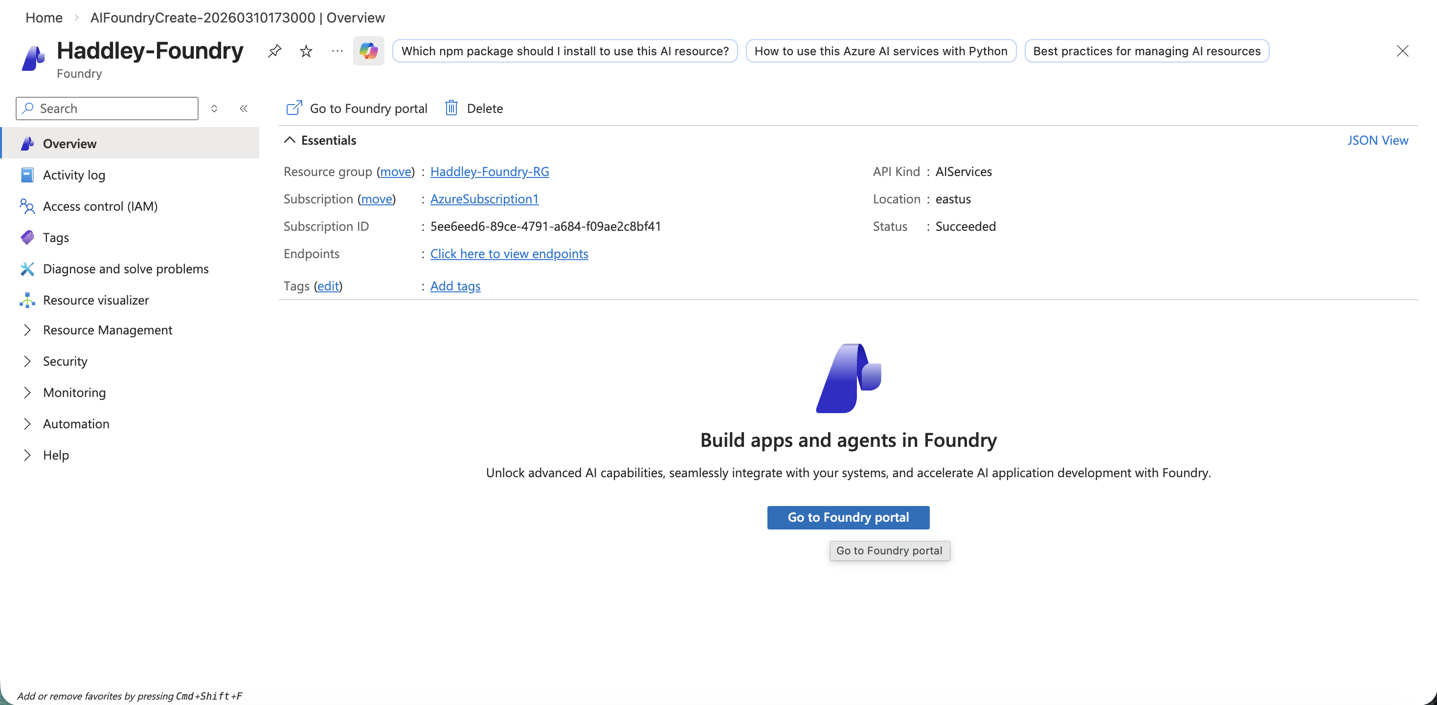 The Haddley-Foundry resource overview with the Go to Foundry portal button