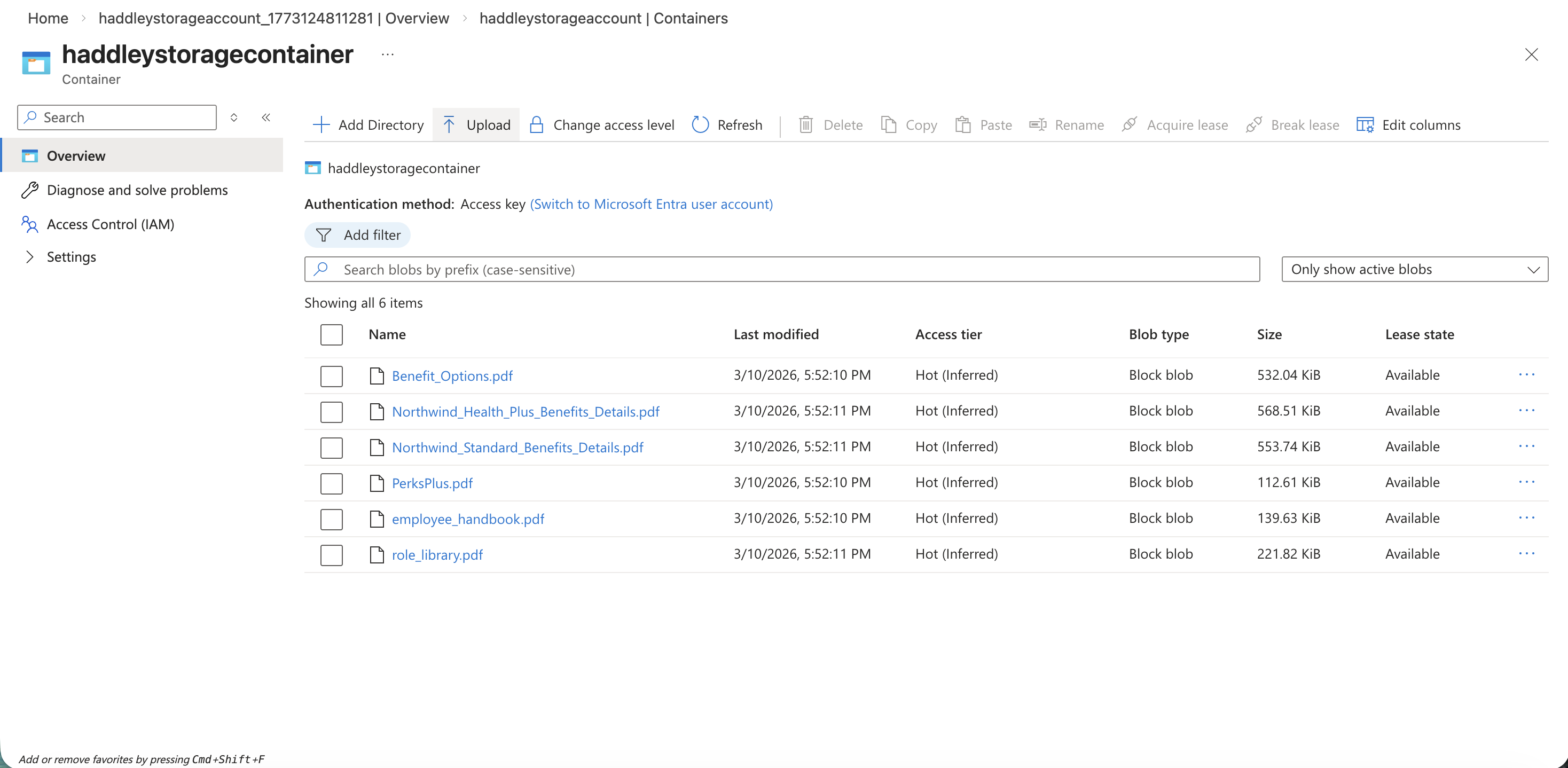 The six health-plan PDF blobs are now stored in haddleystoragecontainer