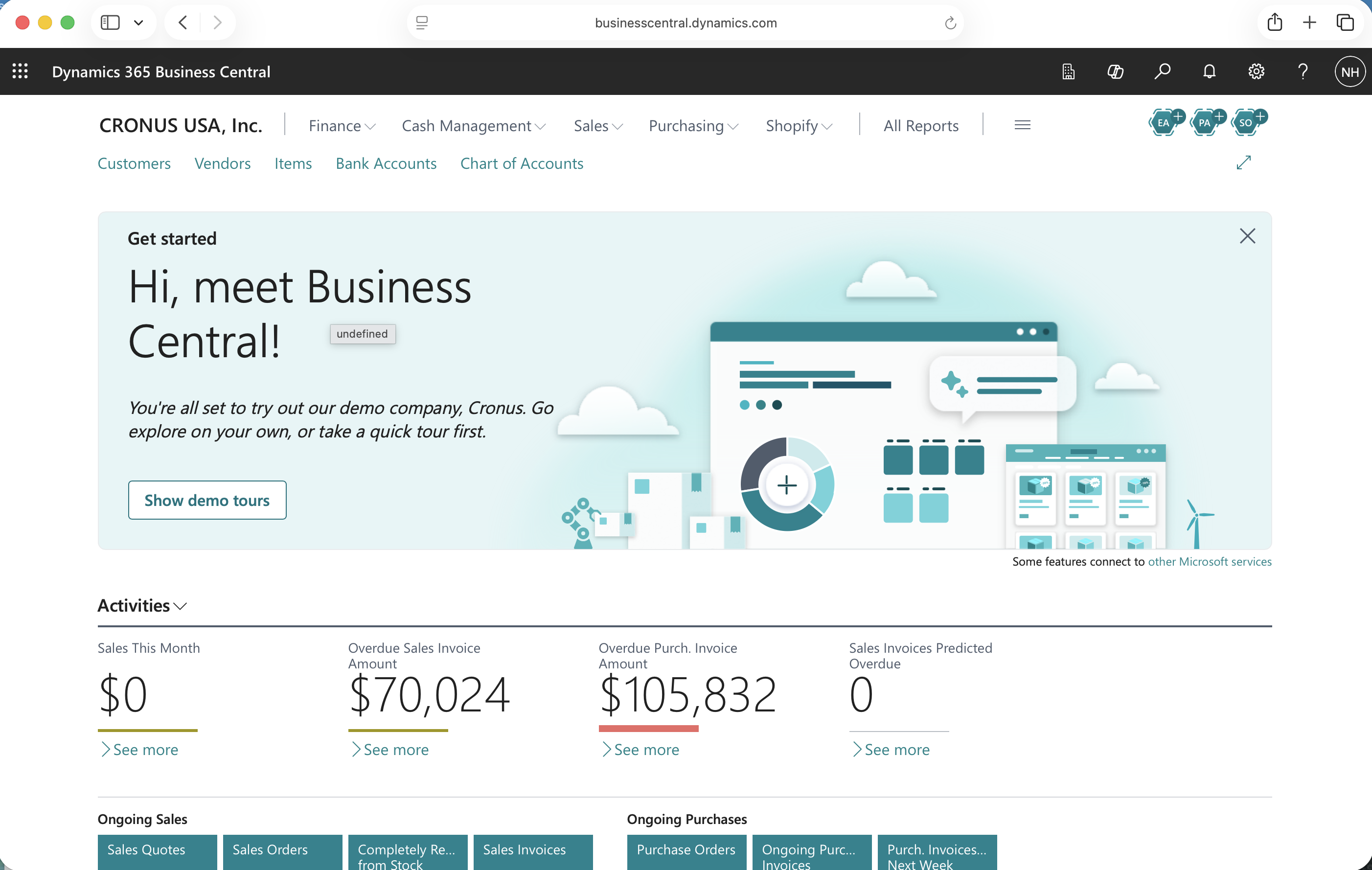 I opened Business Central against the Cronus USA, Inc. demo company