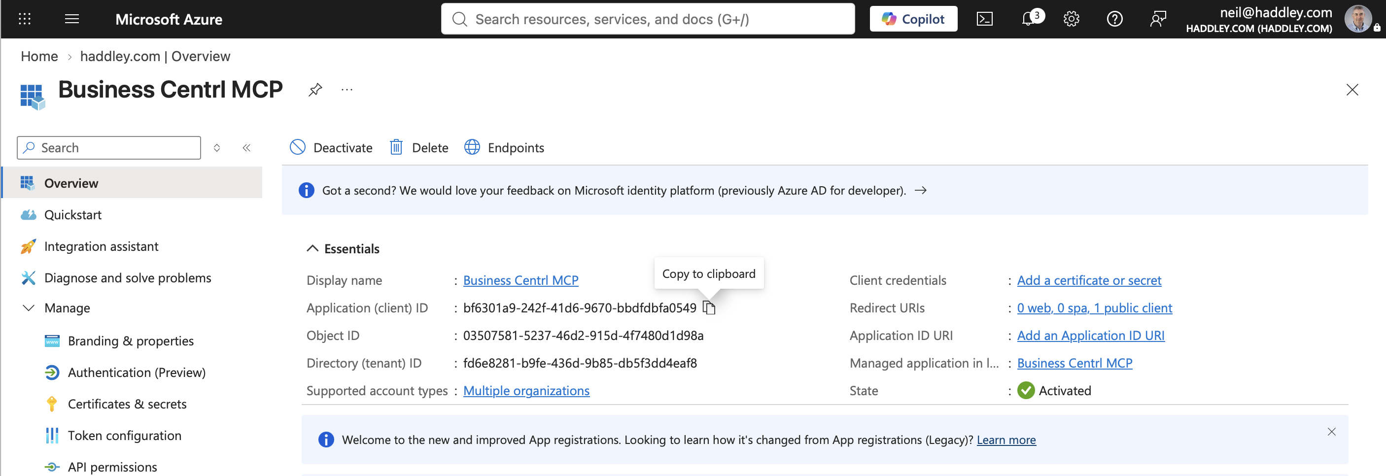 I copied the Application (client) ID from the Overview page