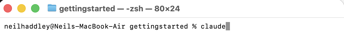 I ran 'claude' in the terminal to start the first-time setup