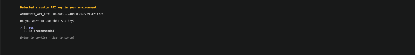 Claude Code prompted me to confirm use of the custom API key — I selected Yes