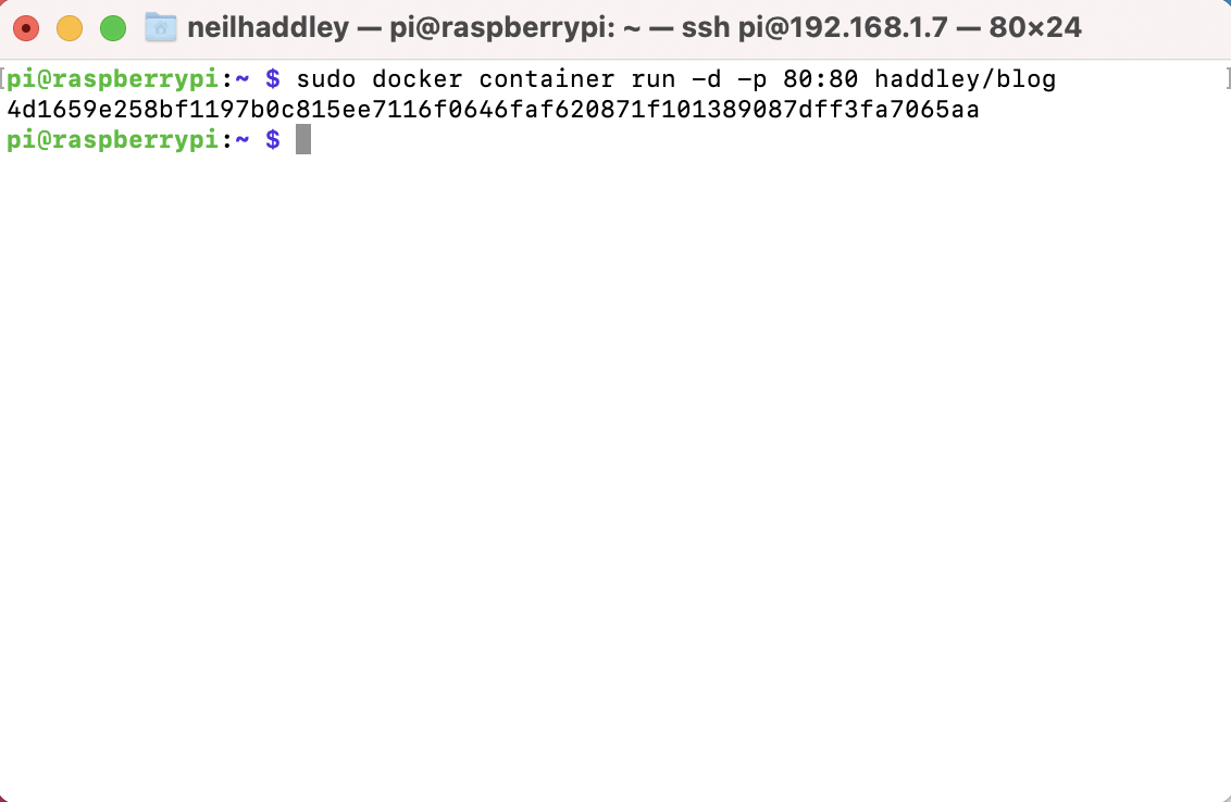 Running the container image