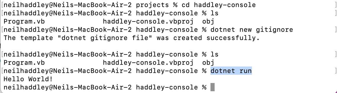 dotnet run (the generated console application)