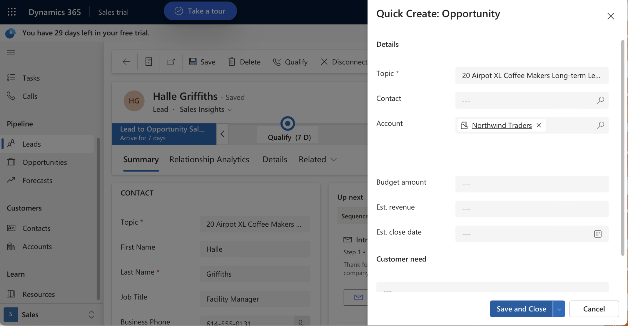 I created the (Lead) Opportunity