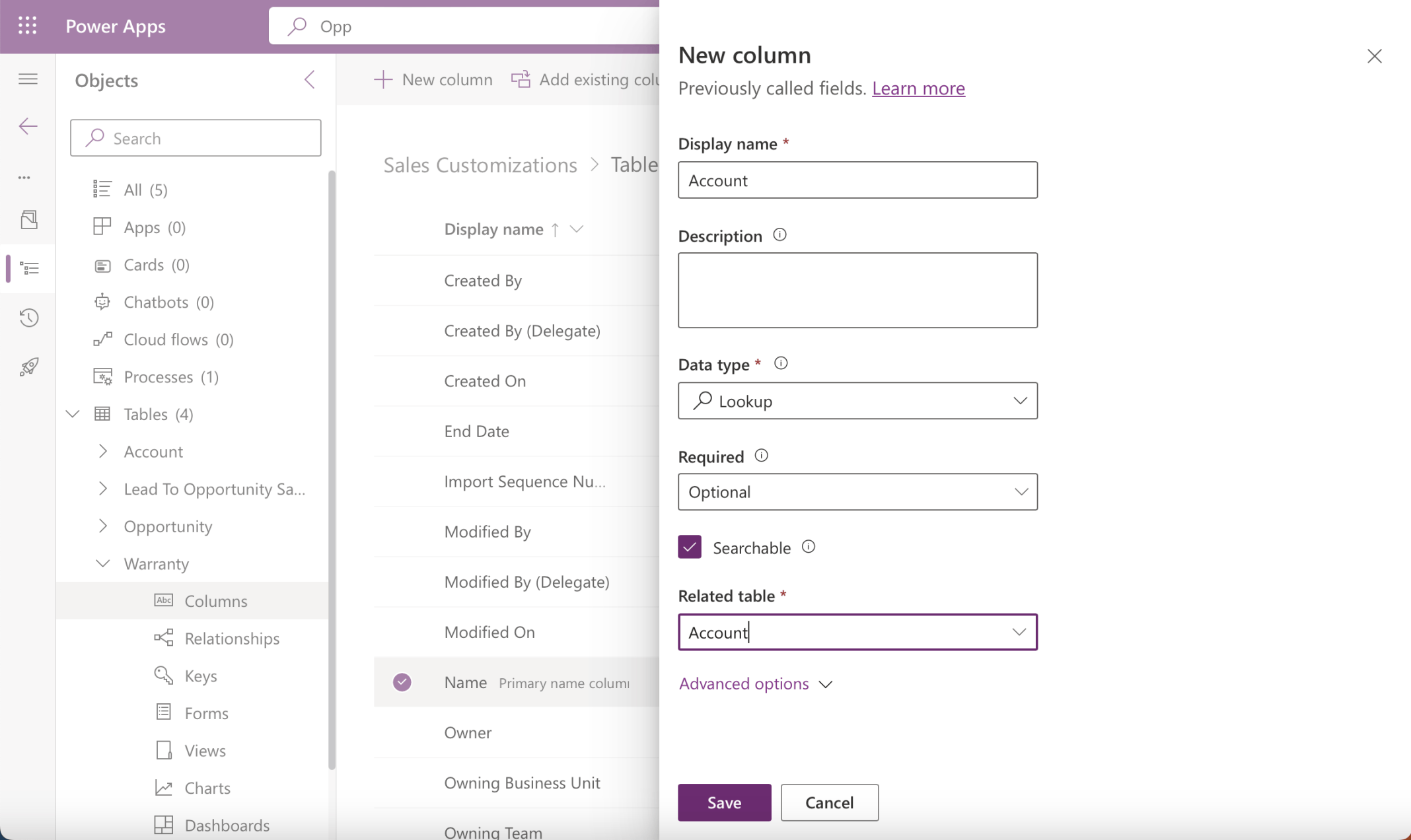 I added an Account (record) Lookup Column
