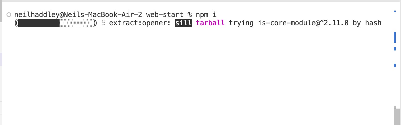 npm i