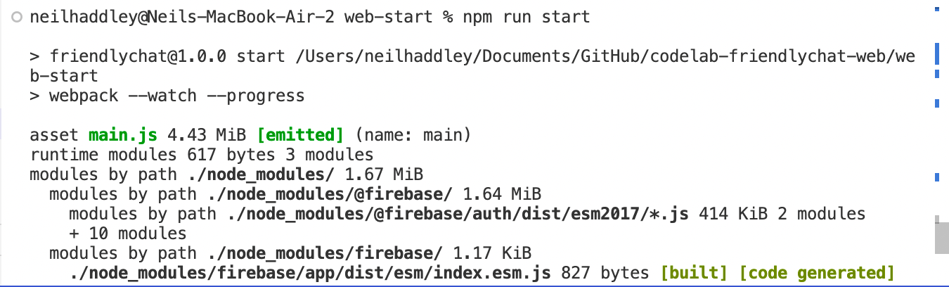 npm run start