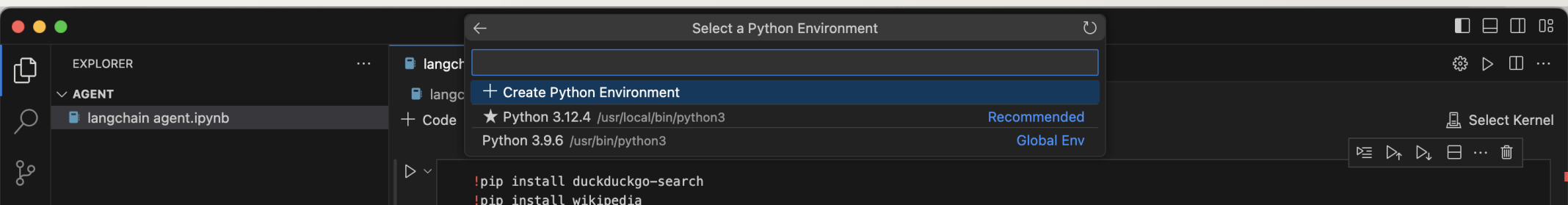 I clicked the + Create Python Environment link