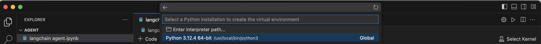 I selected Python 3.12.4