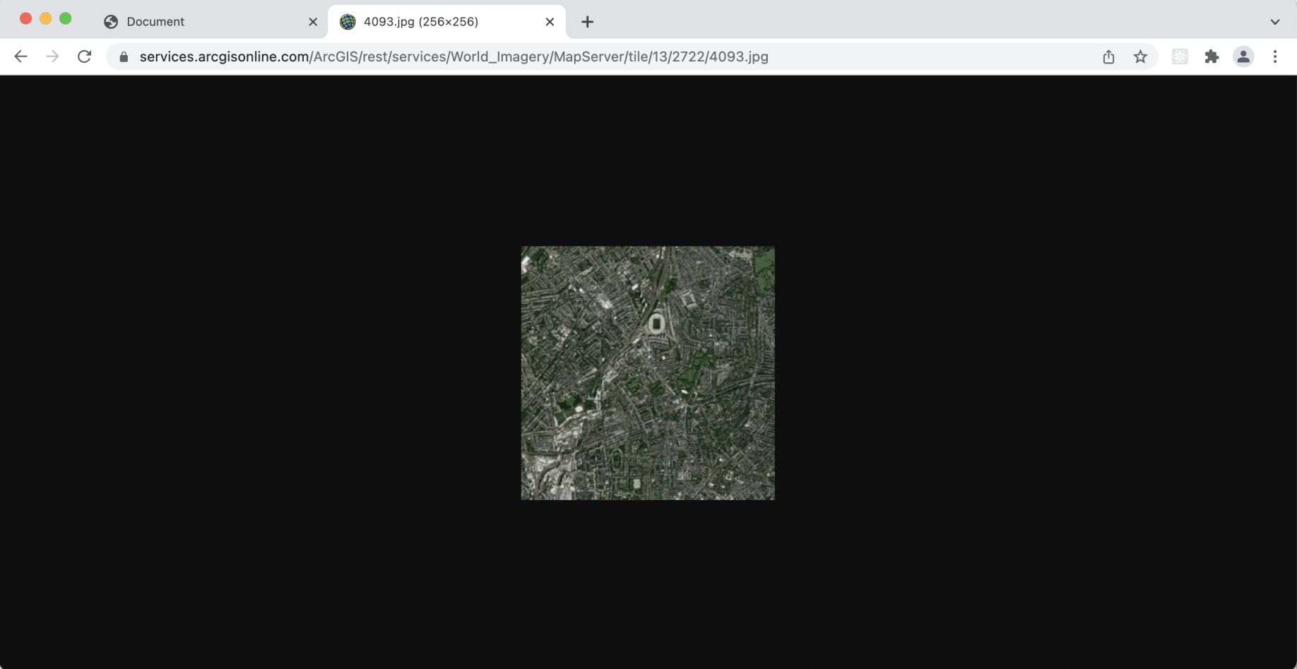 A single tile from arcgisonline.com
