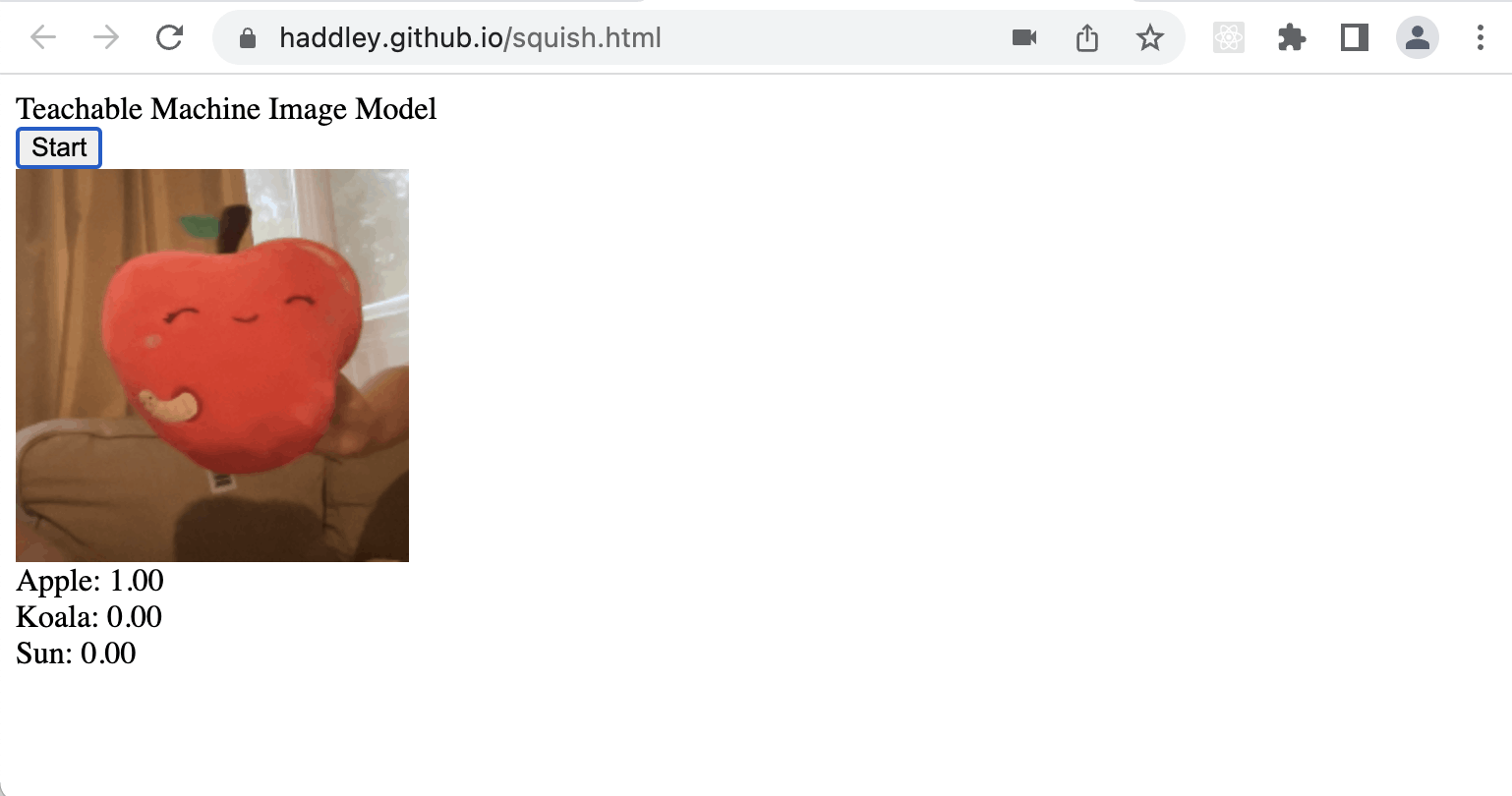 The application is 100% certain that the webcam is pointing at the Apple squishmallow.