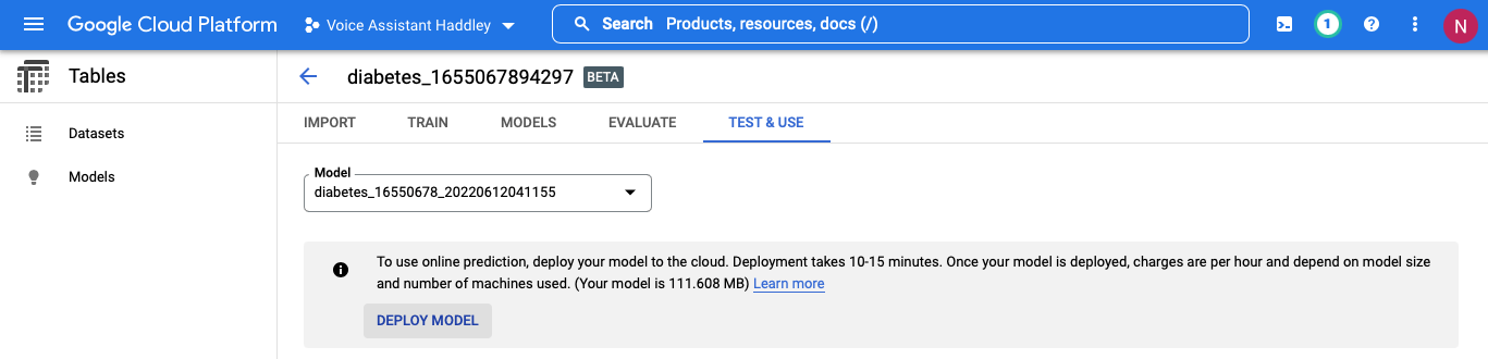 I deployed the model to the cloud