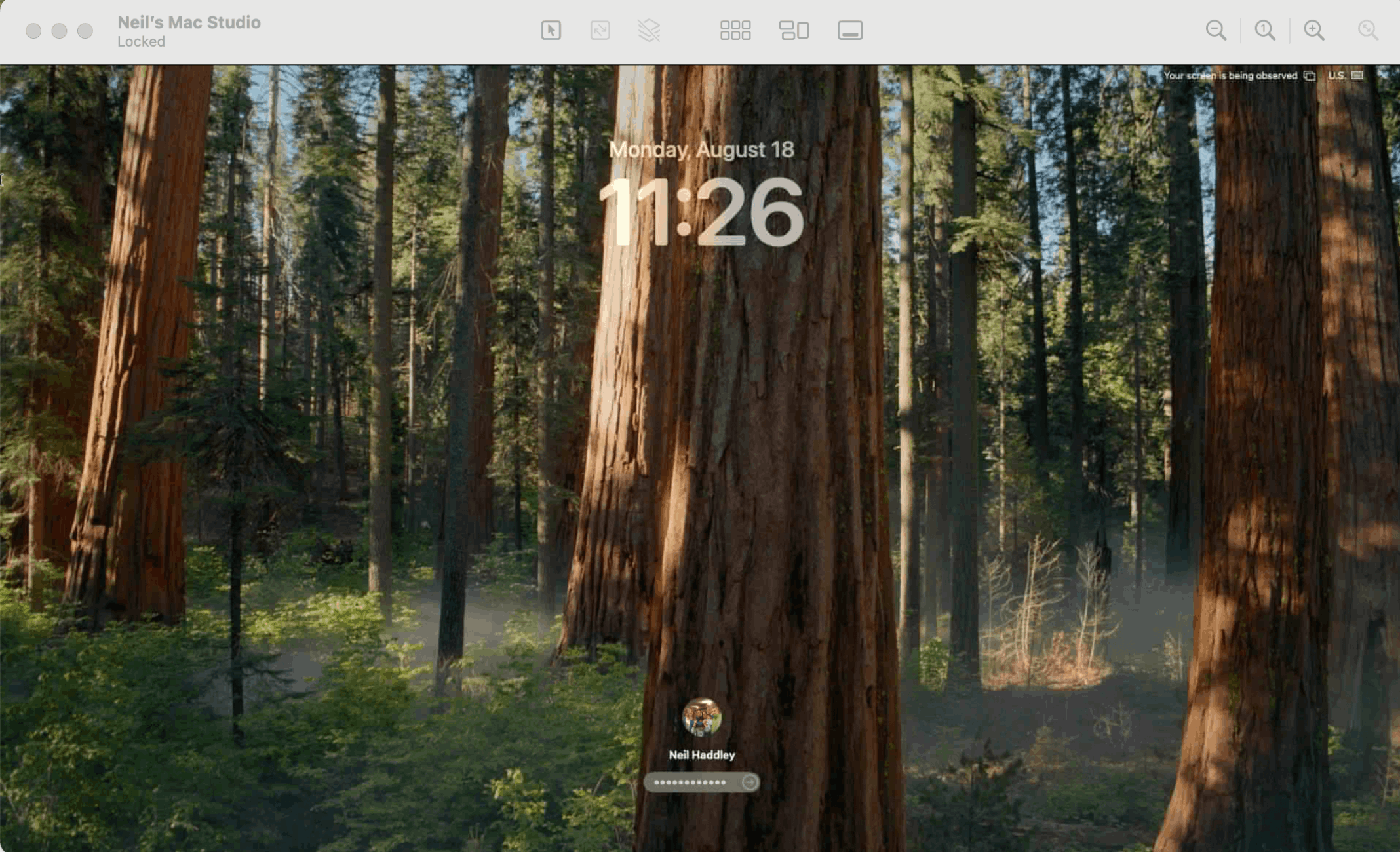 I was able to access the desktop remotely
