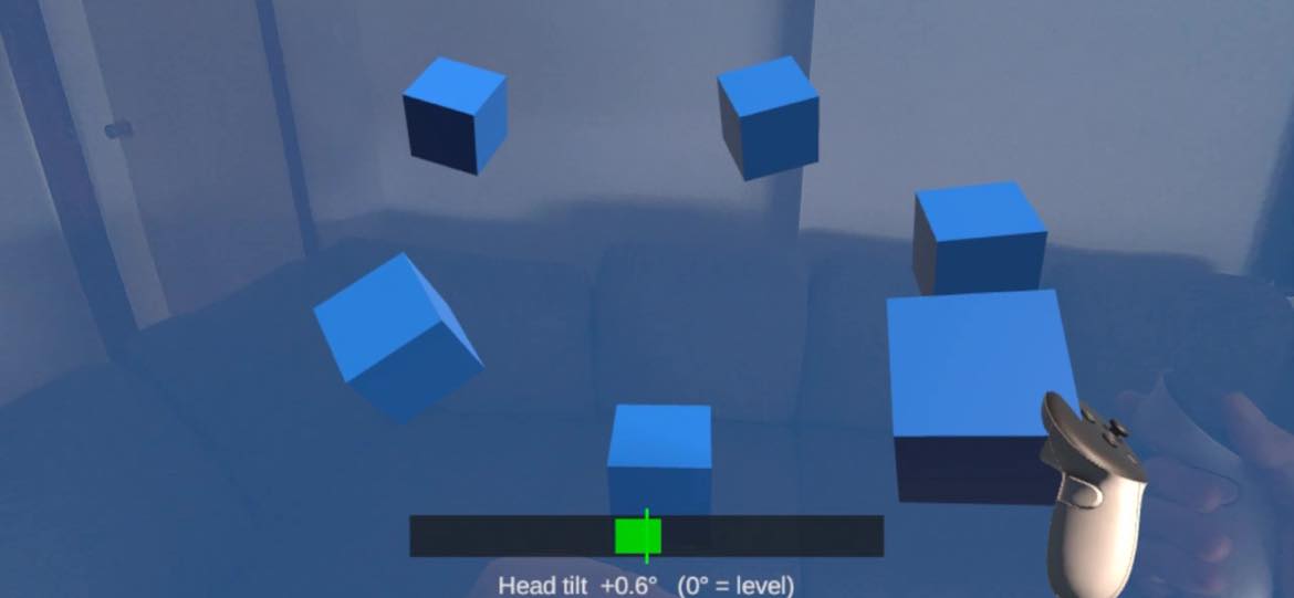 The spirit level at the bottom of the view showed my head tilt in real time