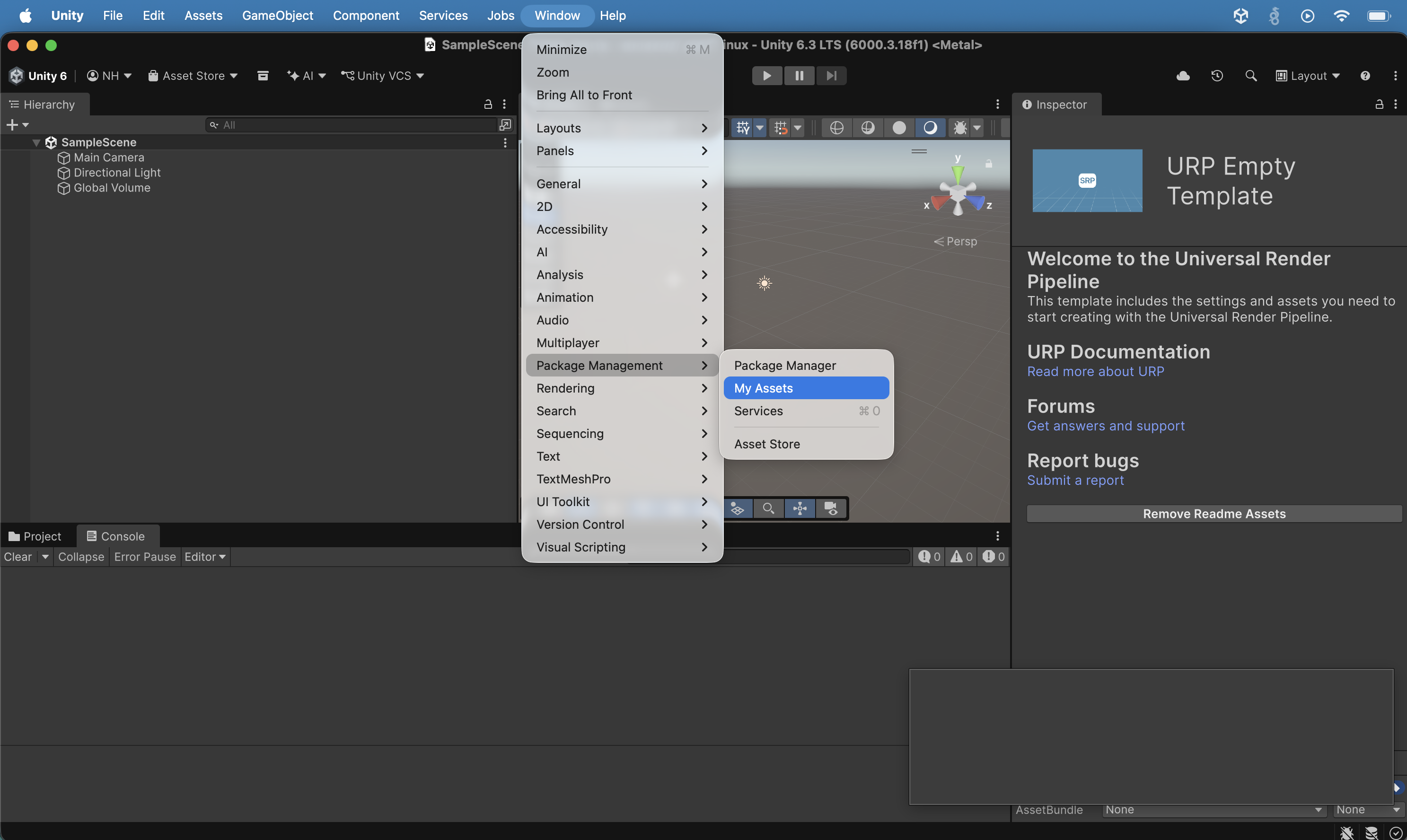 I opened Window > Package Management > My Assets in the Unity editor with the Hello World project loaded.