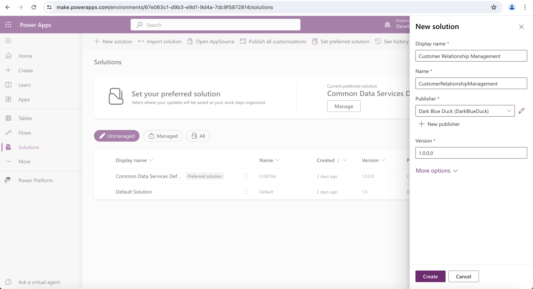 I created a "Customer Relationship Management" solution