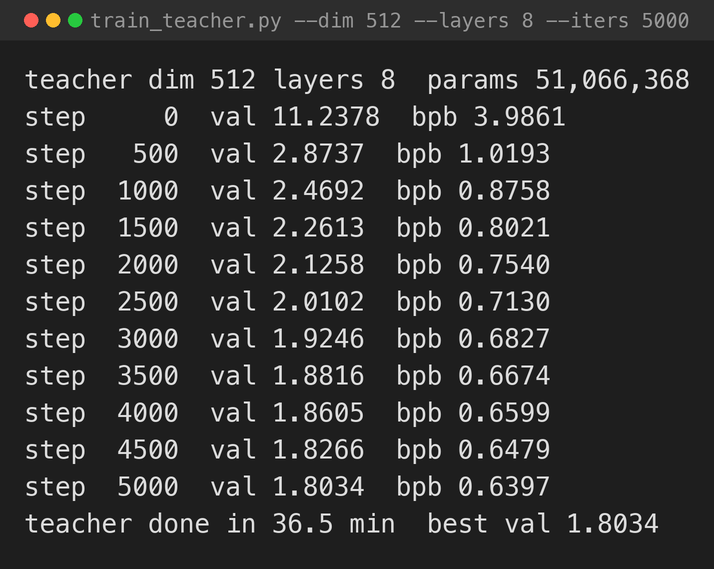 I grew MiniGPT-512 first: 5,000 steps, 51 million numbers, finishing at 0.64 bits per byte