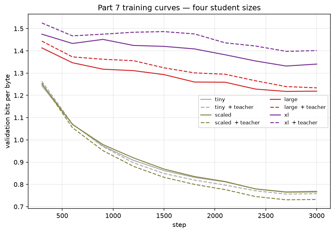 The training curves. `large` and `xl` (red, purple) are still descending at step 3,000 and nowhere near the small models — and for both, the teacher run (dashed) sits above the plain run