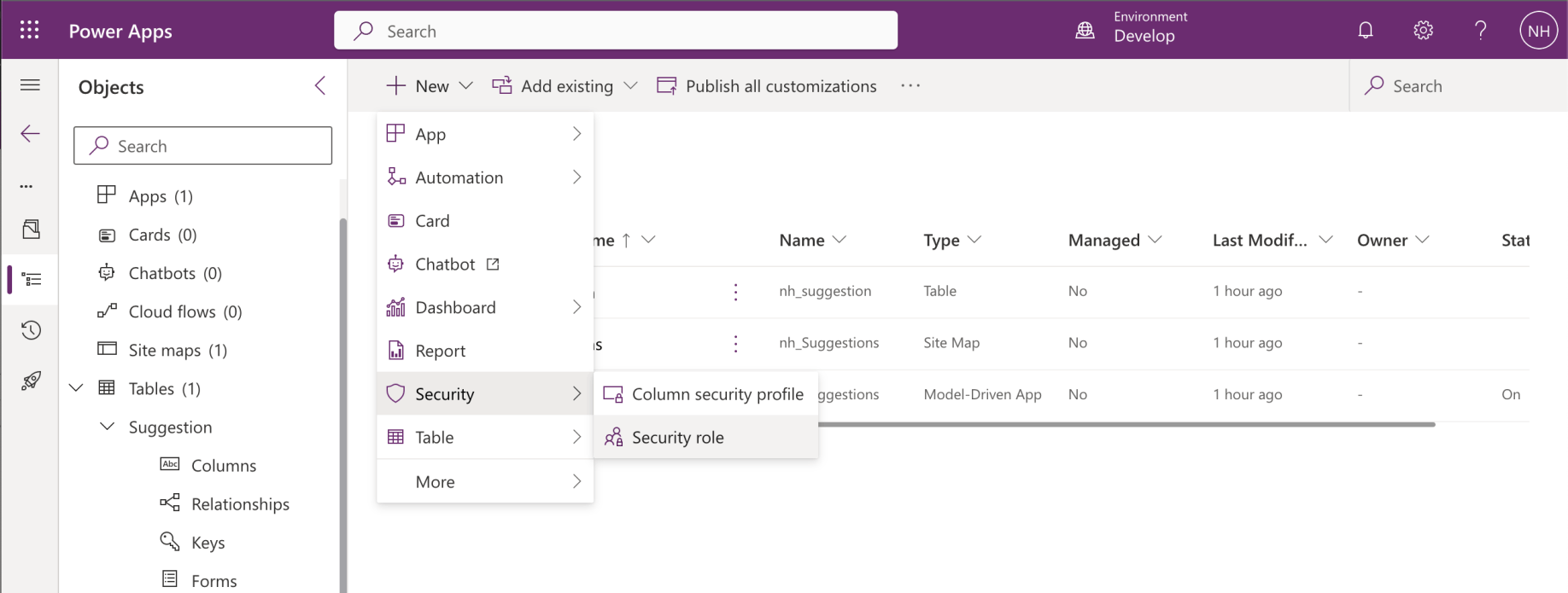 I returned to the Develop environment and added a Security role