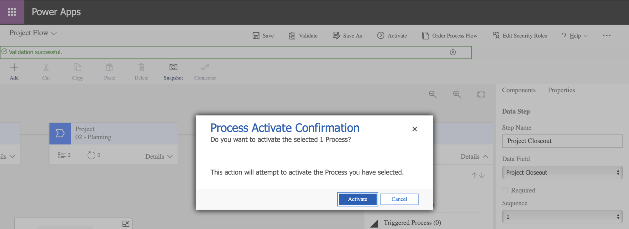 I clicked the Activate button