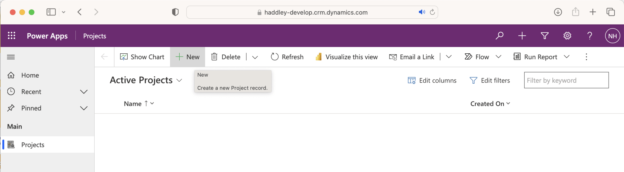The app opened with url haddley-dev.crm.dynamics.com