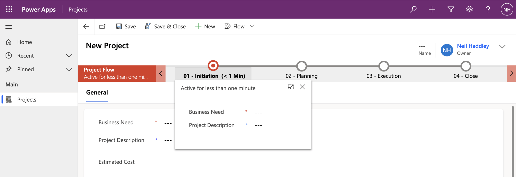 Clicking in the business process flow I can see that Business Need and Project Descriptions are important to the first step.