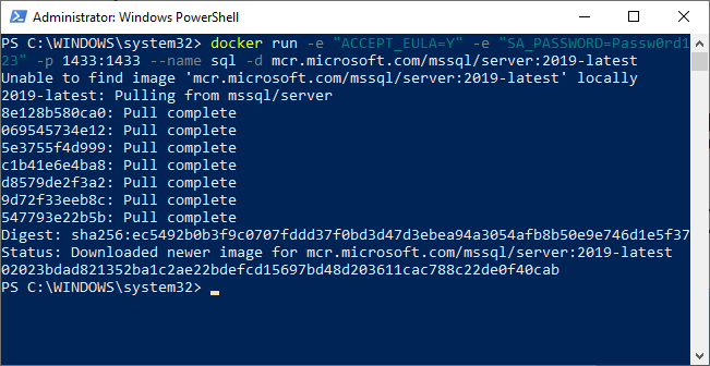 docker run