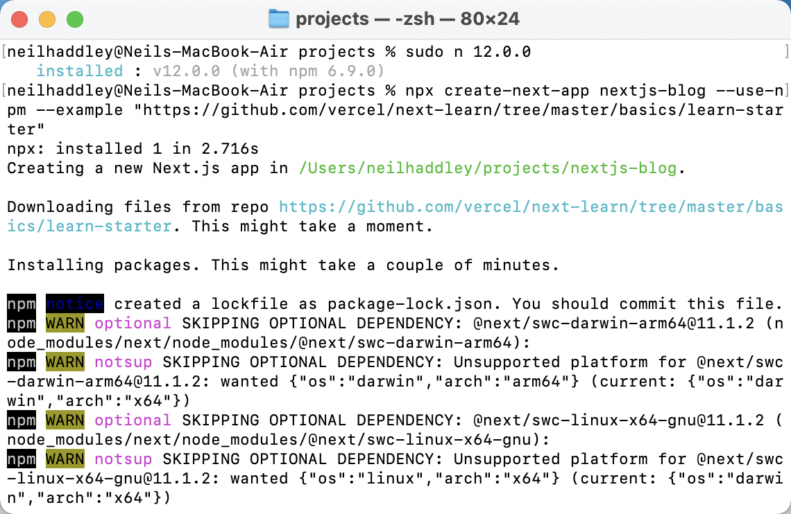 npx create-next-app nextjs-blog --use-npm --example "https://github.com/vercel/next-learn/tree/master/basics/learn-starter"