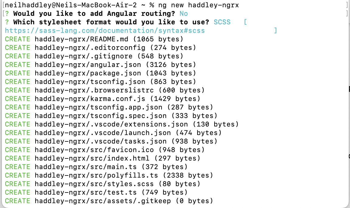 ng new haddley-ngrx