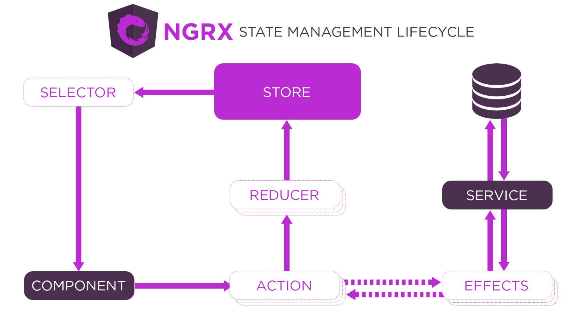 NGRX state management lifecycle