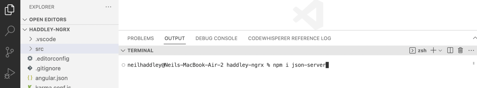 npm i json-server