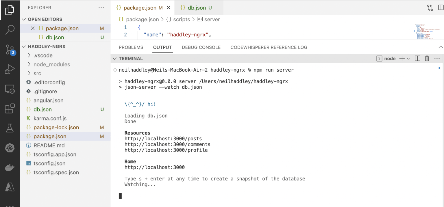 I started the server by running npm run server