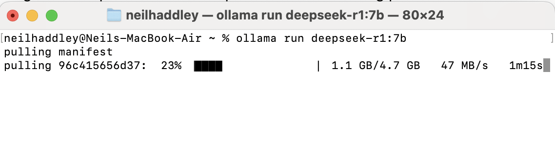 ollama run deepseek-r1:7b