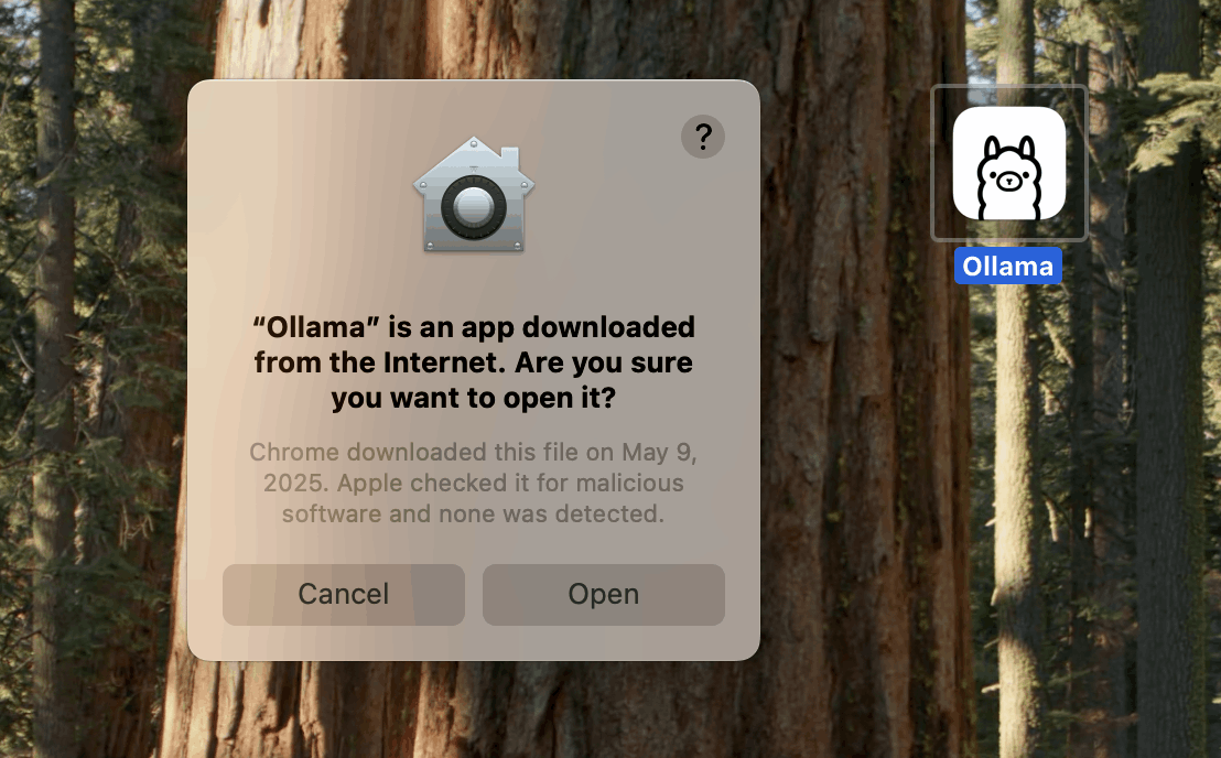 I clicked Open