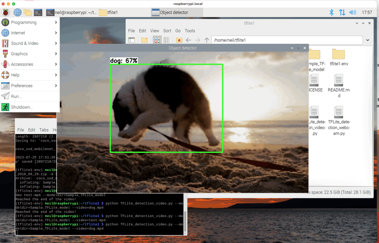 python TFLite_detection_video.py --modeldir=Sample_TFLite_model --video=dog.mp4