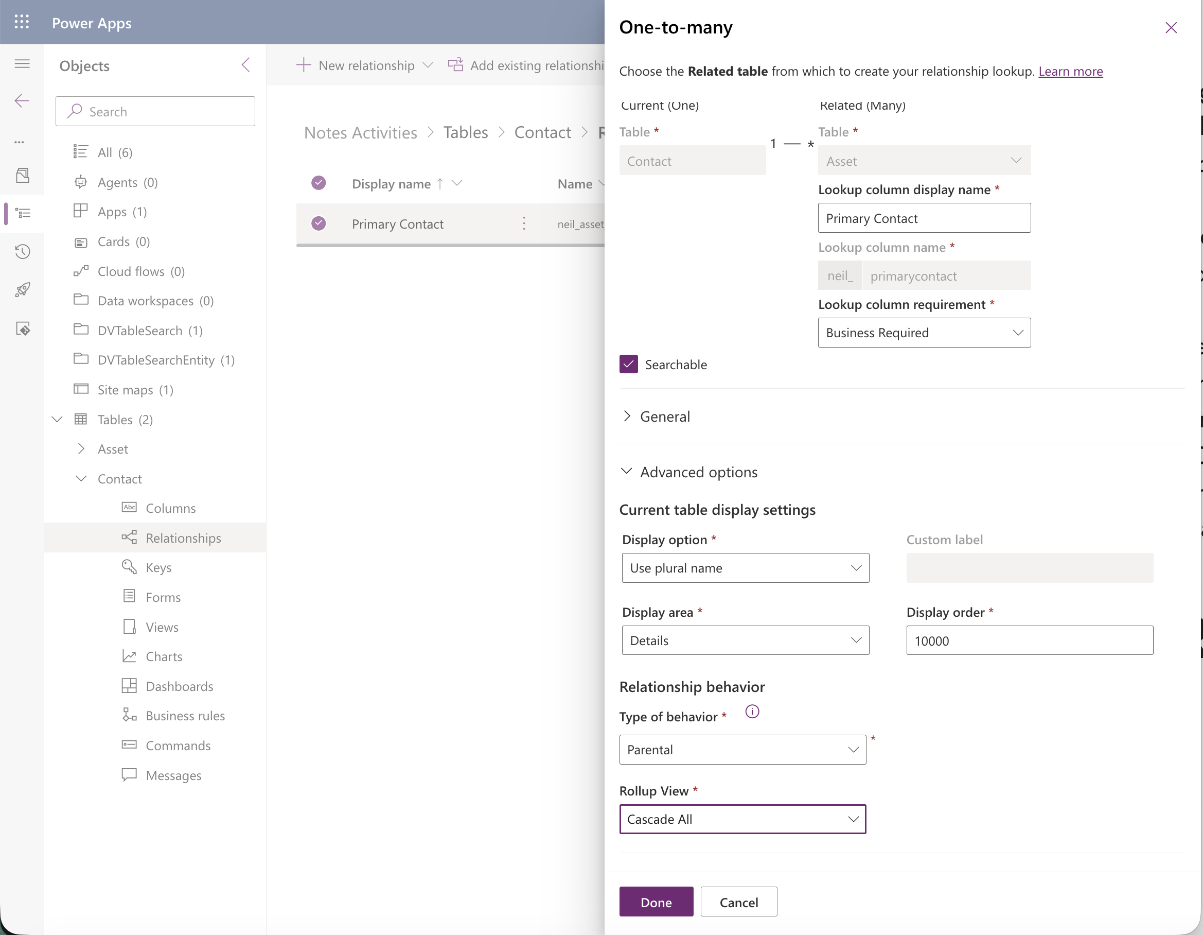 Reopened from Contact's side, the relationship now showed cleanly as Parental with Rollup View set to Cascade All