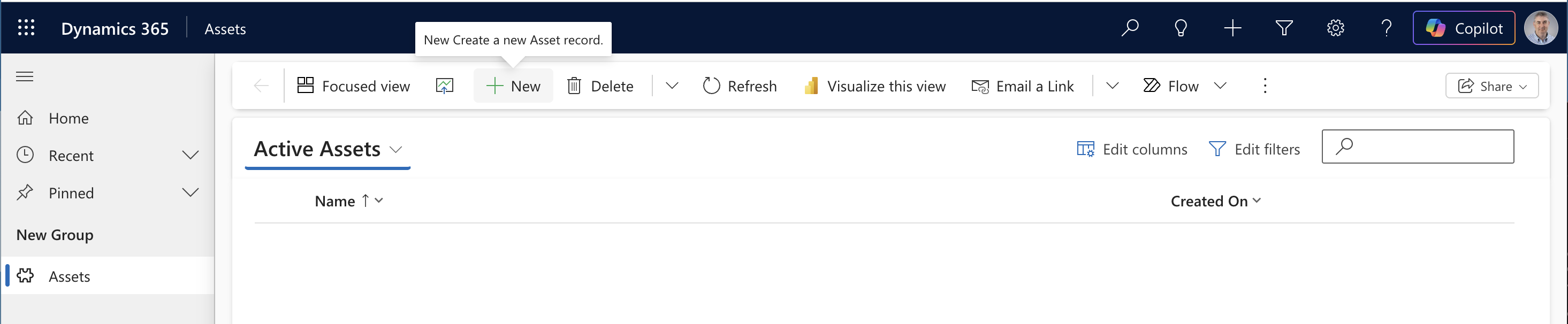 The published Assets app showed an empty Active Assets view