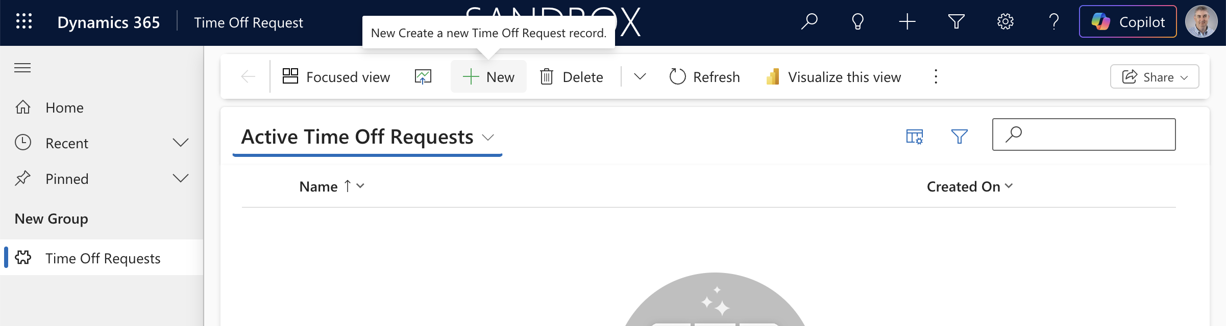 I hovered over the New button — ready to create my first test record.