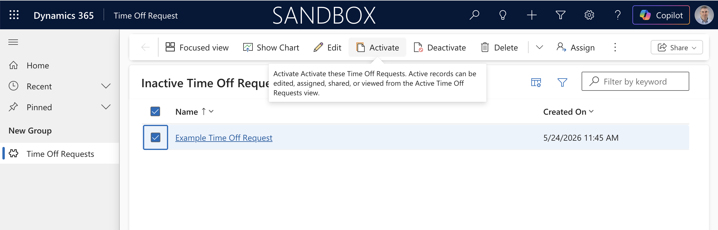 I switched to the Inactive view where the record now appeared. I hovered over the Activate button.